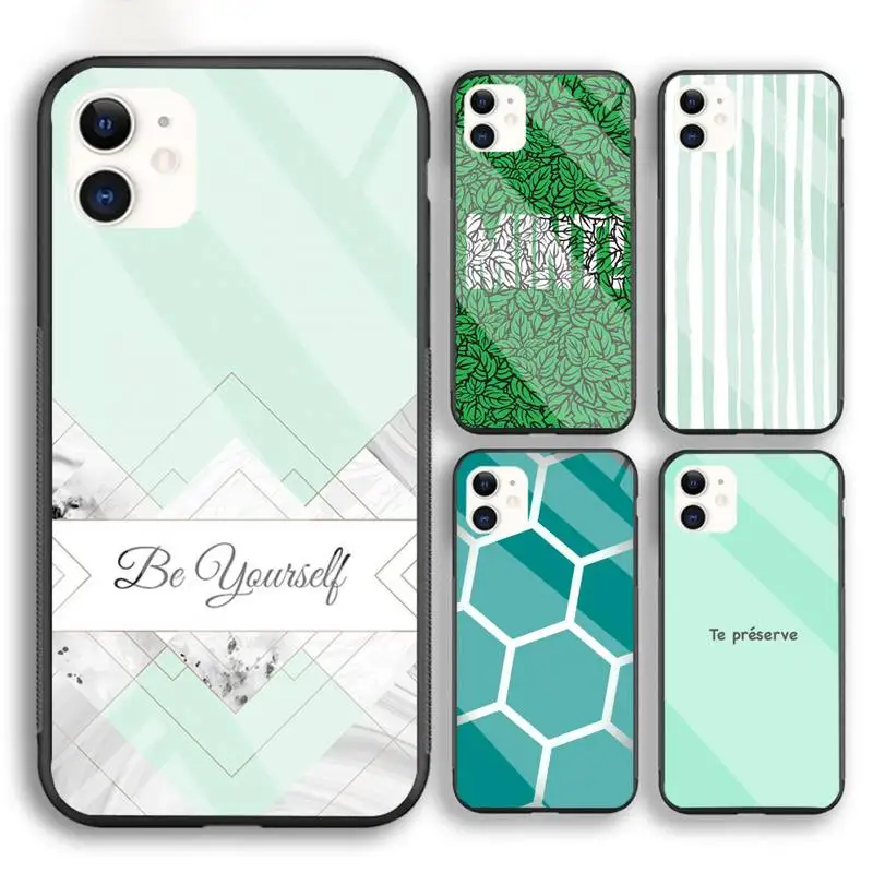 Aqua Silver Green Mint Phone Case For Iphone 6 6s 7 8 Plus XR X XS XSmax 11 12 Pro Mini Max Tempered Glass
Aqua Silver Green Mint Phone Case For Iphone 6 6s 7 8 Plus XR X XS XSmax 11 12 Pro Mini Max Tempered Glass