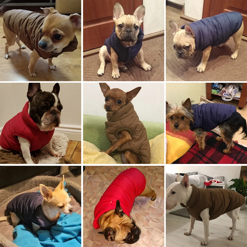 Winter Pet Coat Jacket Dog Clothes For Dogs Costume Warm Big Dog Coat Down Jacket Clothing For Dogs Clothing Winter Clothes
Winter Pet Coat Jacket Dog Clothes For Dogs Costume Warm Big Dog Coat Down Jacket Clothing For Dogs Clothing Winter Clothes