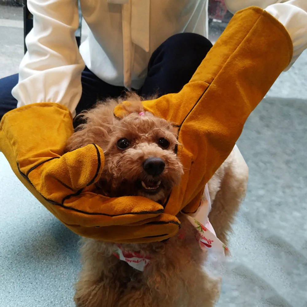 1pc Bite-proof Pet Parrot Anti-scratch Training Thickening
1pc Bite-proof Pet Parrot Anti-scratch Training Thickening