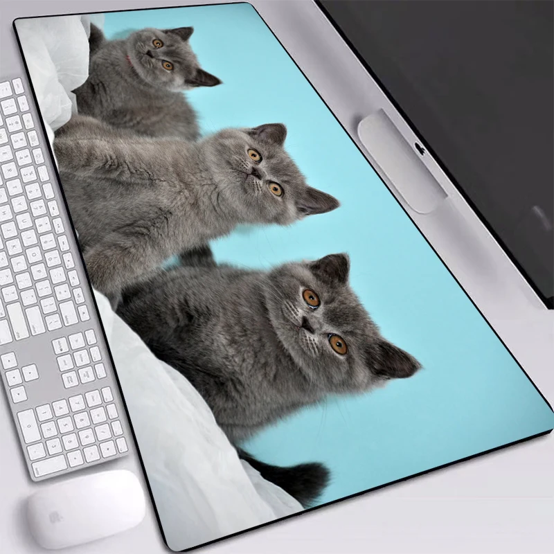 Animal Gray Cat Printed Pad HD Wallpaper Play Mat Large Personality Custom Table Mat Mice Pad 60x30/80x30/90x40cm for DOTA Games
Animal Gray Cat Printed Pad HD Wallpaper Play Mat Large Personality Custom Table Mat Mice Pad 60x30/80x30/90x40cm for DOTA Games