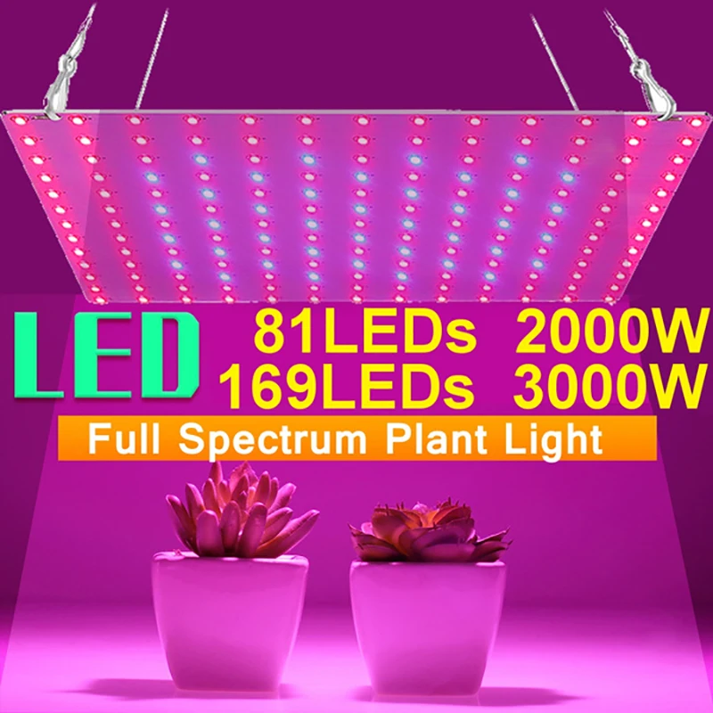 3000/2000W LED Plant Grow Light Full Spectrum LEDs Adjustable Rope Grow Light
3000/2000W LED Plant Grow Light Full Spectrum LEDs Adjustable Rope Grow Light