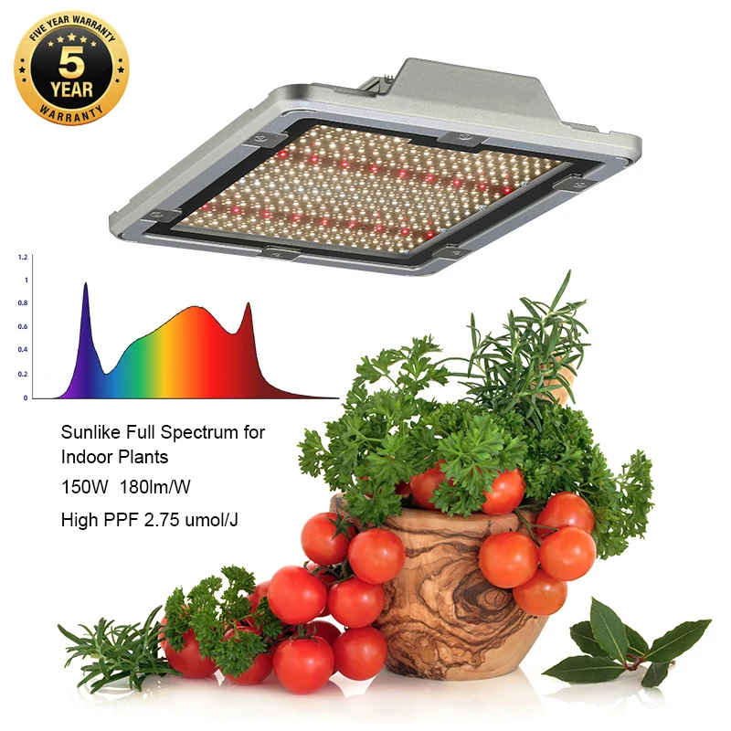 Promotion L.E.D Kingbright Led Hydroponic Growing Systems With Lights Hydro Grow Light
Promotion L.E.D Kingbright Led Hydroponic Growing Systems With Lights Hydro Grow Light
