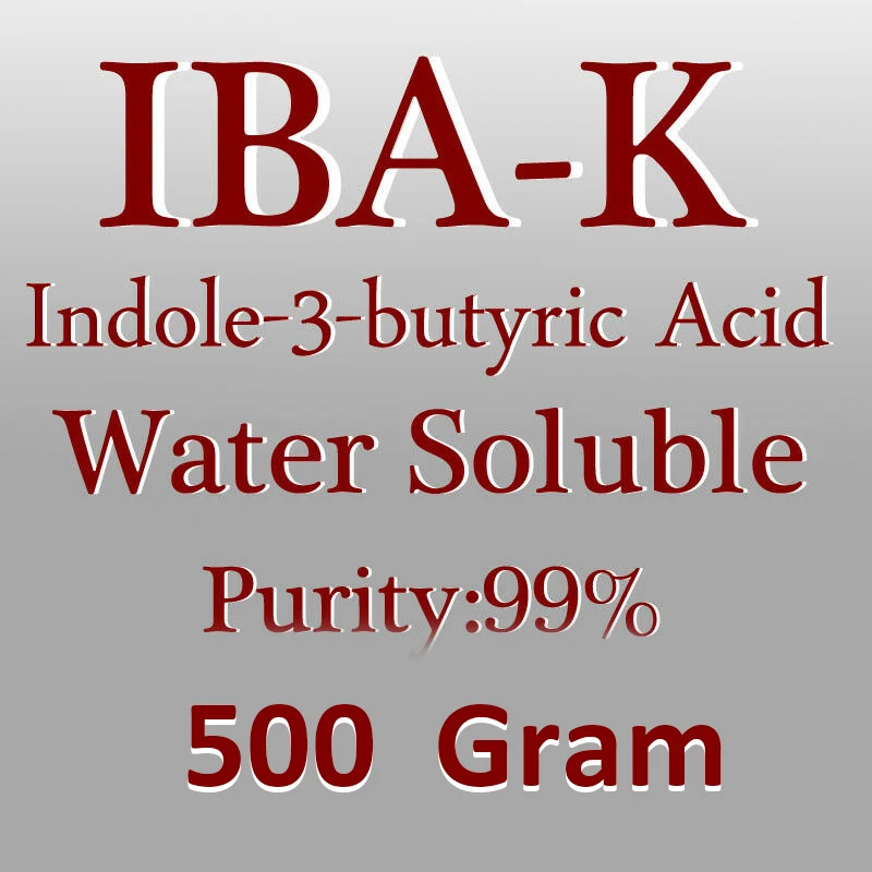 500g индол-3-масляная кислота индол масляная кислота IBA Rhizotonic клонекс IBA-K воды
500g индол-3-масляная кислота индол масляная кислота IBA Rhizotonic клонекс IBA-K воды