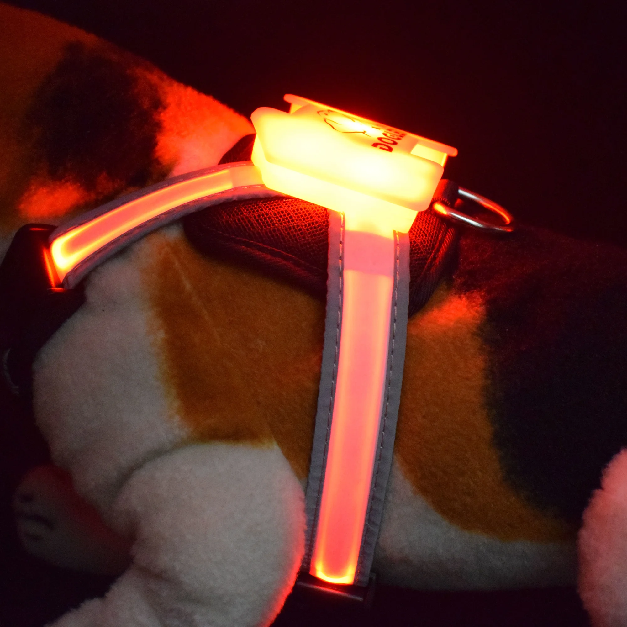 Harness LED Dog Light Soft Adjustable Dog Puppy Pet Harness dog harness vest 2020 pet supplier
Harness LED Dog Light Soft Adjustable Dog Puppy Pet Harness dog harness vest 2020 pet supplier