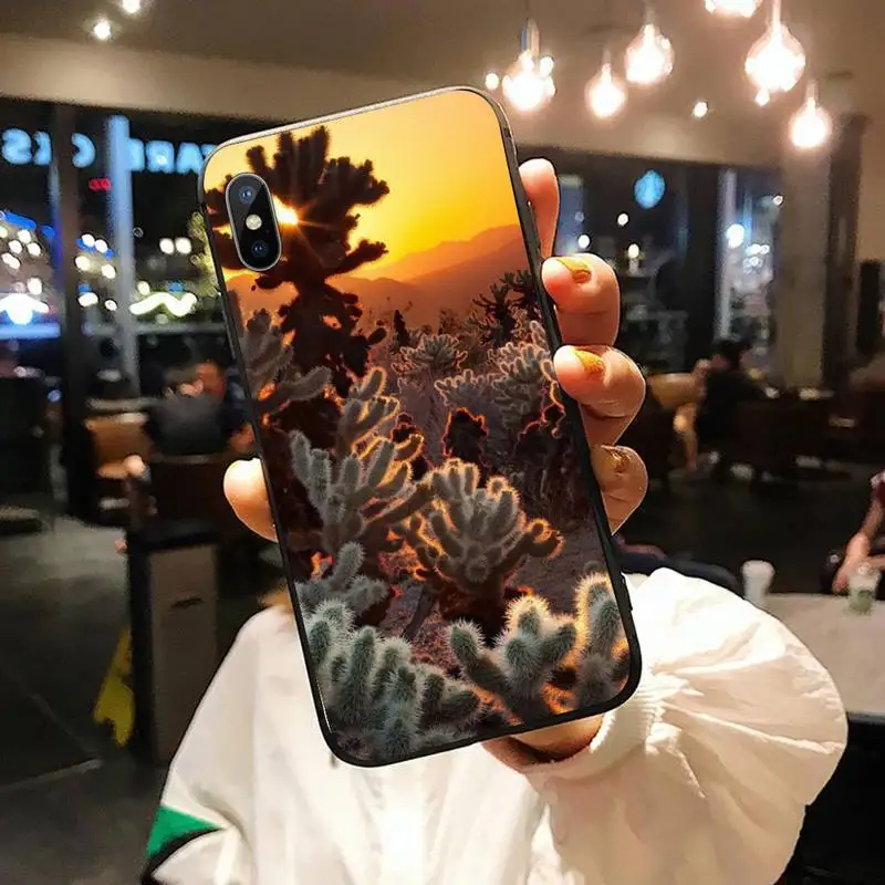 Plants in the desert cactus Phone Case for iPhone 11 12 pro XS MAX 8 7 6 6S Plus X 5S SE 2020 XR
Plants in the desert cactus Phone Case for iPhone 11 12 pro XS MAX 8 7 6 6S Plus X 5S SE 2020 XR