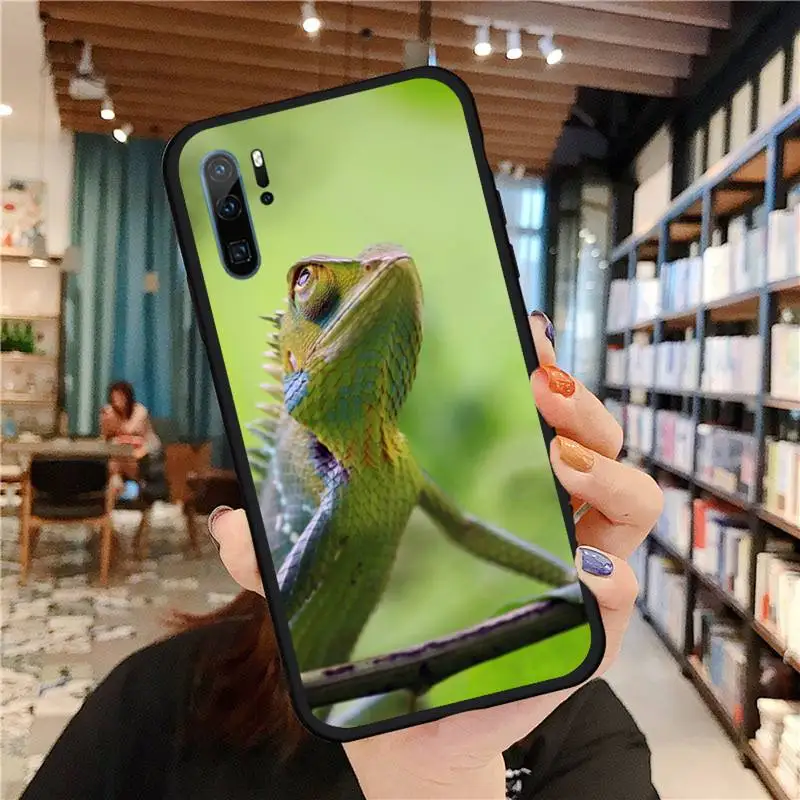 Gecko Lizard Animals Phone Case For Huawei honor Mate P 9 10 20 30 40 Pro 10i 7 8 a x Lite nova 5t Soft Silicone Shell Funda
Gecko Lizard Animals Phone Case For Huawei honor Mate P 9 10 20 30 40 Pro 10i 7 8 a x Lite nova 5t Soft Silicone Shell Funda