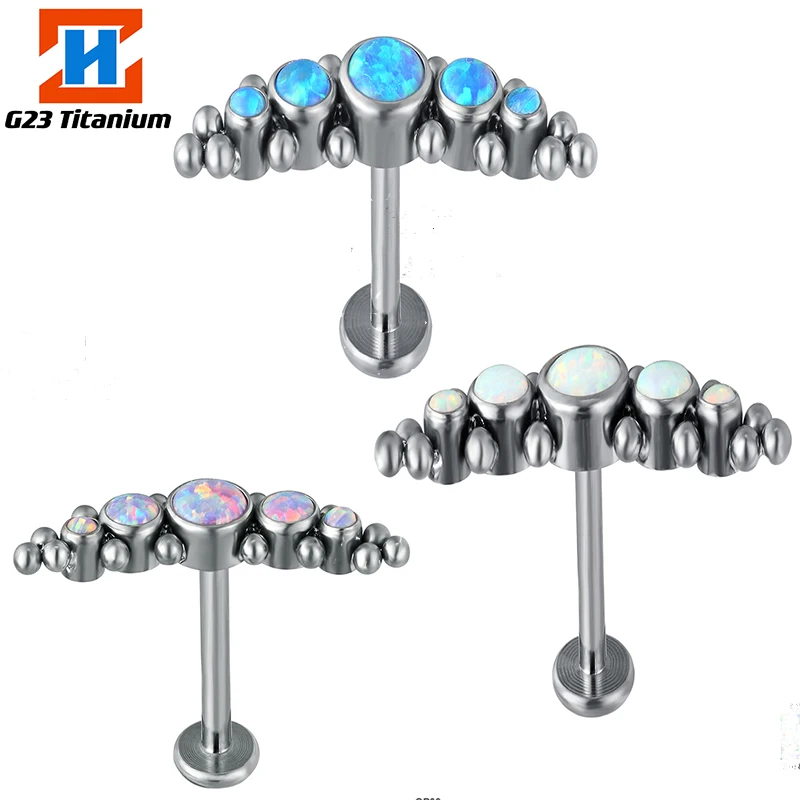 1PS New G23 Titanium Protein Tragus Stud Internal Thread Cartilage Helical Earrings Labret Barbell Body Piercing Jewelry
1PS New G23 Titanium Protein Tragus Stud Internal Thread Cartilage Helical Earrings Labret Barbell Body Piercing Jewelry