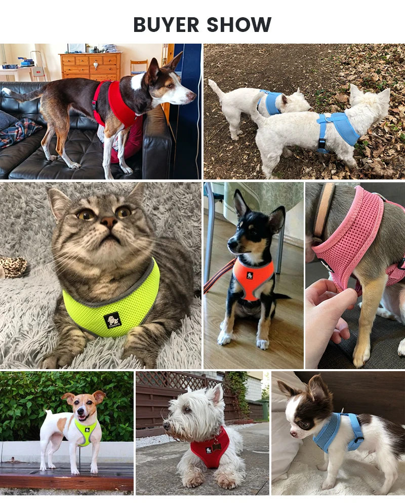 Truelove Puppy Cat Pet Dog Harness Breathable Mesh Nylon Dogs Harness Strap Soft Walk Vest Collar For Small Medium Dog 8 color
Truelove Puppy Cat Pet Dog Harness Breathable Mesh Nylon Dogs Harness Strap Soft Walk Vest Collar For Small Medium Dog 8 color