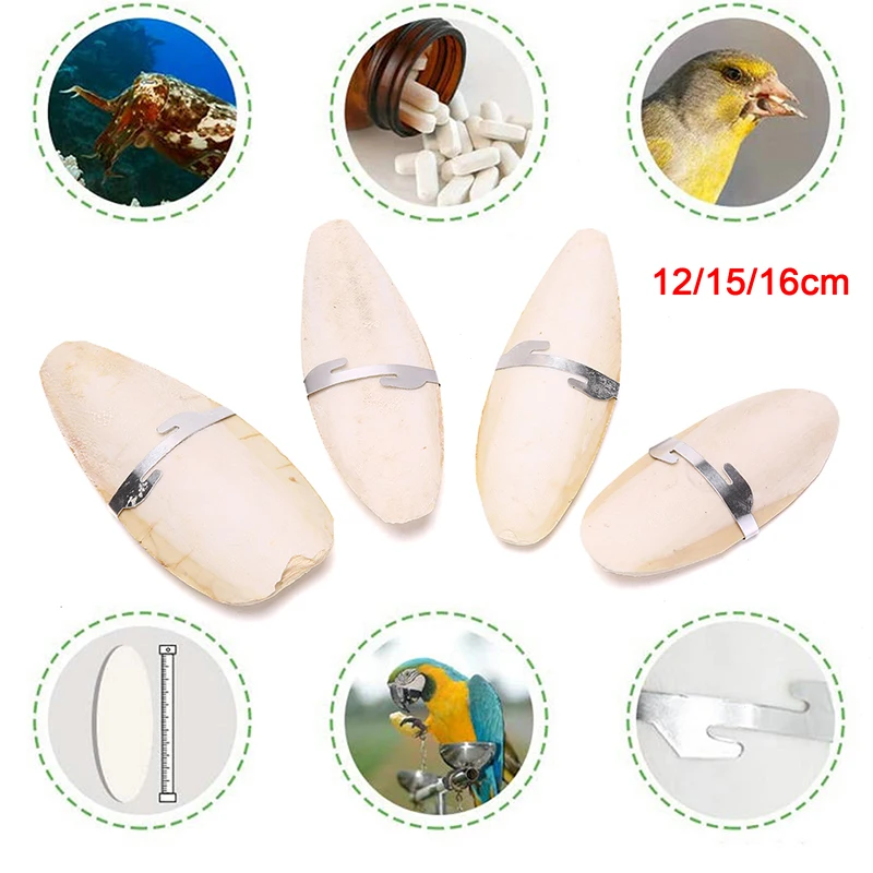 12/15cm Cuttlebone Cuttlefish Sepia Bone Cuttle Fish Bird Food Calcium Pick Stone Pet Parrots Hamster Bird Toy Accessories
12/15cm Cuttlebone Cuttlefish Sepia Bone Cuttle Fish Bird Food Calcium Pick Stone Pet Parrots Hamster Bird Toy Accessories