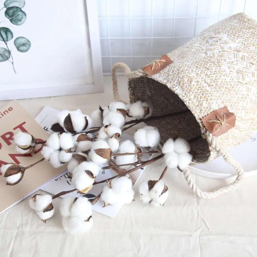 10 Dried Flowers Cotton Kapok Flower Immortal Flower Stems Dried Cotton Handmade DIY Bouquet Decorative Props
10 Dried Flowers Cotton Kapok Flower Immortal Flower Stems Dried Cotton Handmade DIY Bouquet Decorative Props