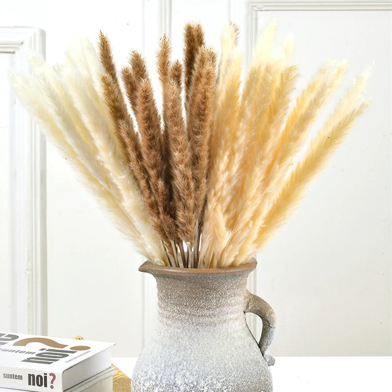30PCS Bulrush Natural Dried Flowers Real Plants Pampas Grass Decor Phragmites Flower Wedding Home Living Room Decoration
30PCS Bulrush Natural Dried Flowers Real Plants Pampas Grass Decor Phragmites Flower Wedding Home Living Room Decoration
