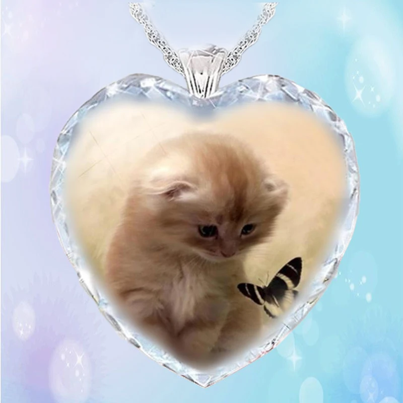 Heart Shaped Crystal Glass Cute Cat Butterfly Pendant Necklace Female Jewelry New Fashion Animal Women's Accessories Party Gifts
Heart Shaped Crystal Glass Cute Cat Butterfly Pendant Necklace Female Jewelry New Fashion Animal Women's Accessories Party Gifts