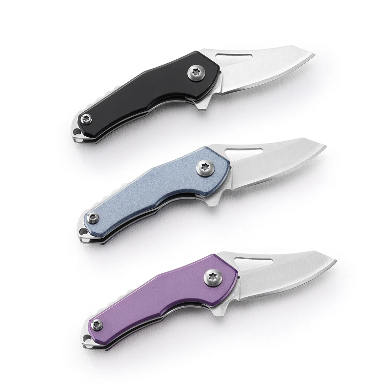 Outdoor 4cr14Mov Blade Mini Tactical Folding Knife Aluminum Handle Camping Hunting Survival Pocket Utility Keychain EDC Tools
Outdoor 4cr14Mov Blade Mini Tactical Folding Knife Aluminum Handle Camping Hunting Survival Pocket Utility Keychain EDC Tools