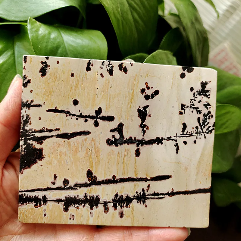 Natural Stone Picture stone Stone Tablet Collection Home Ornament Chakra Spiritual Meditation Healing Feng Shui Crystal
Natural Stone Picture stone Stone Tablet Collection Home Ornament Chakra Spiritual Meditation Healing Feng Shui Crystal