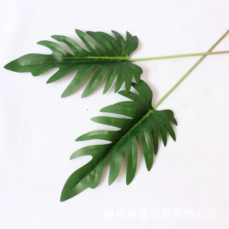 Xiaochun Rain Leaf Feel Simulation Plant With Flowers And Accessories Plastic Leaf Simulation Leaf Plant Wall Ceiling Decoration
Xiaochun Rain Leaf Feel Simulation Plant With Flowers And Accessories Plastic Leaf Simulation Leaf Plant Wall Ceiling Decoration
