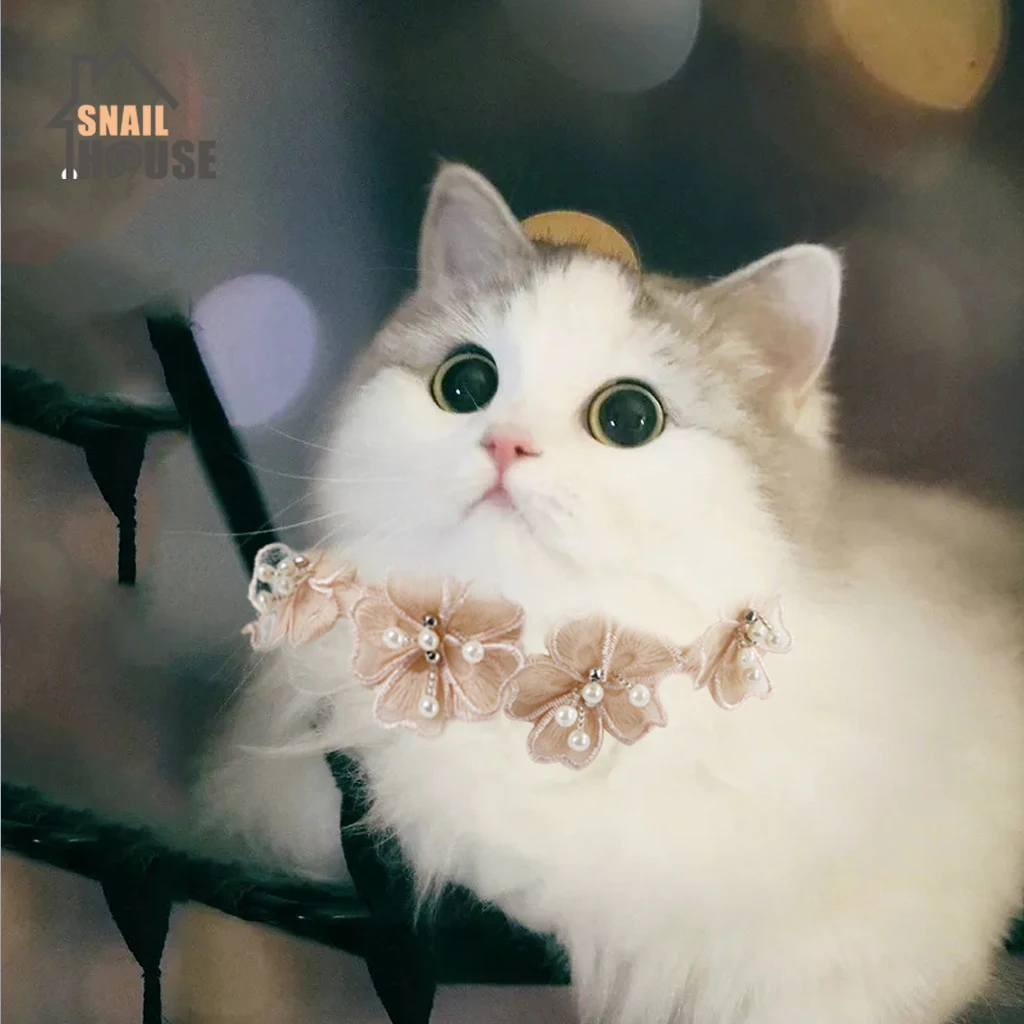 Новый милый нежный ошейник Snailhouse с кошкой для домашних животных ювелирные