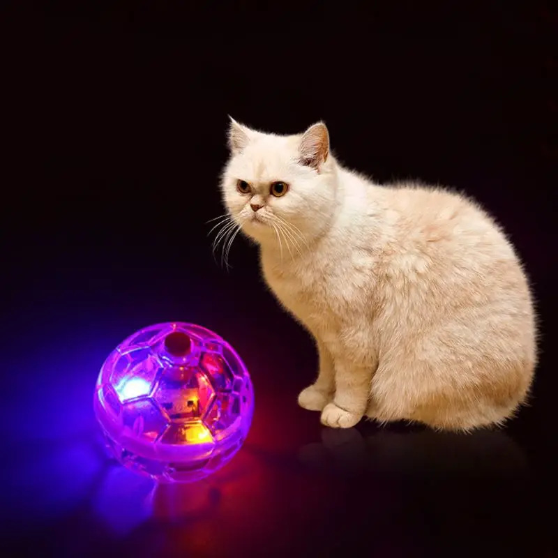 3 Pcs New Fashion Glowing Transparent Plastic Ball Pet Interactive Toy Funny Training Cat Flash Balls Toys
3 Pcs New Fashion Glowing Transparent Plastic Ball Pet Interactive Toy Funny Training Cat Flash Balls Toys