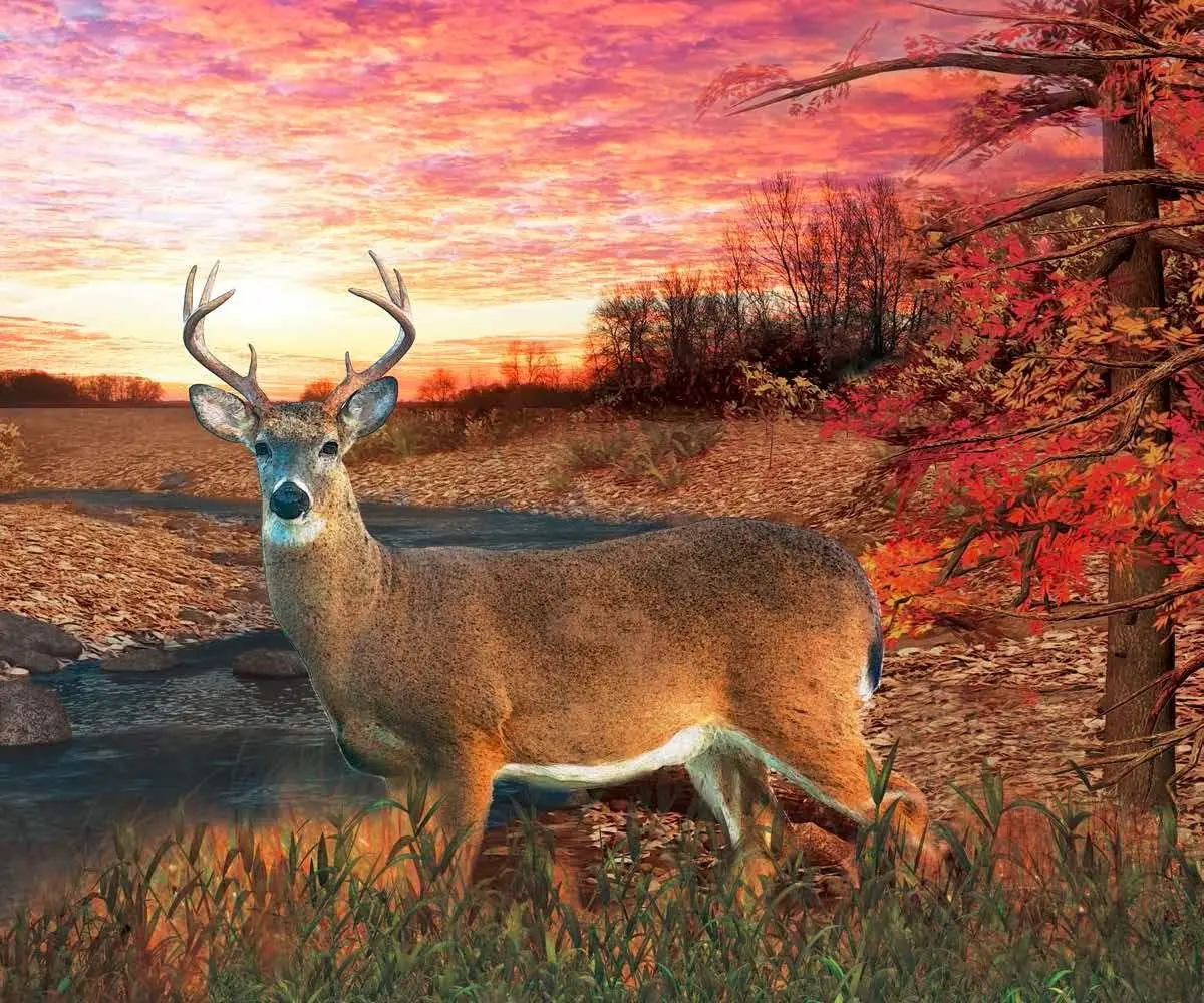 Deer in Autumn Setting Fleece Throw Blanket Plush Fuzzy Cozy Bed Quilts Home Decor
Deer in Autumn Setting Fleece Throw Blanket Plush Fuzzy Cozy Bed Quilts Home Decor