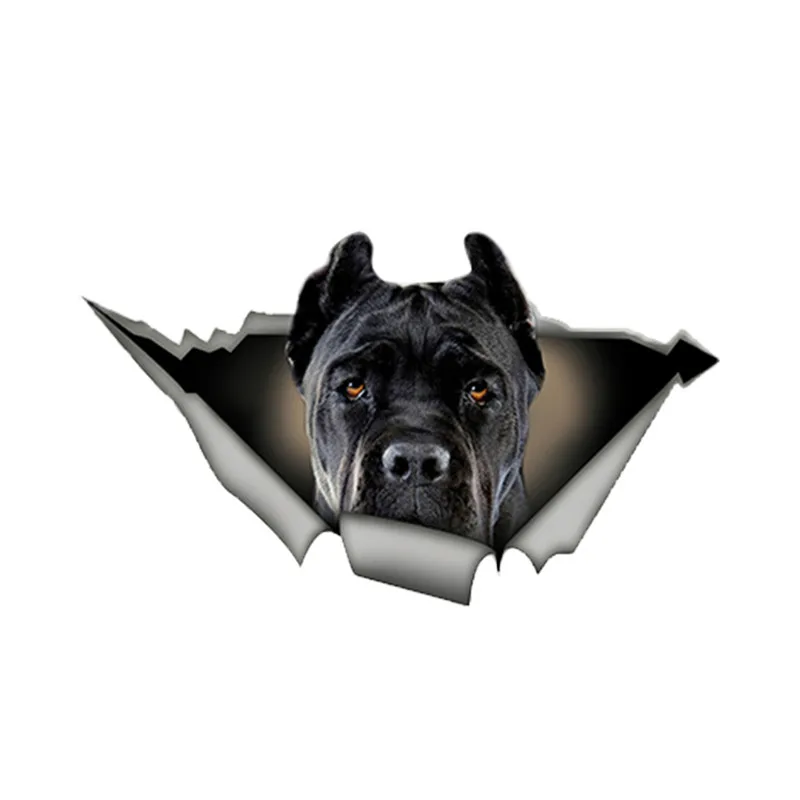 Lifelike Cane Corso Car Sticker Torn Metal Decal Reflective Stickers Waterproof Styling Pet Dog Decals Kk 13cm X 8cm
Lifelike Cane Corso Car Sticker Torn Metal Decal Reflective Stickers Waterproof Styling Pet Dog Decals Kk 13cm X 8cm