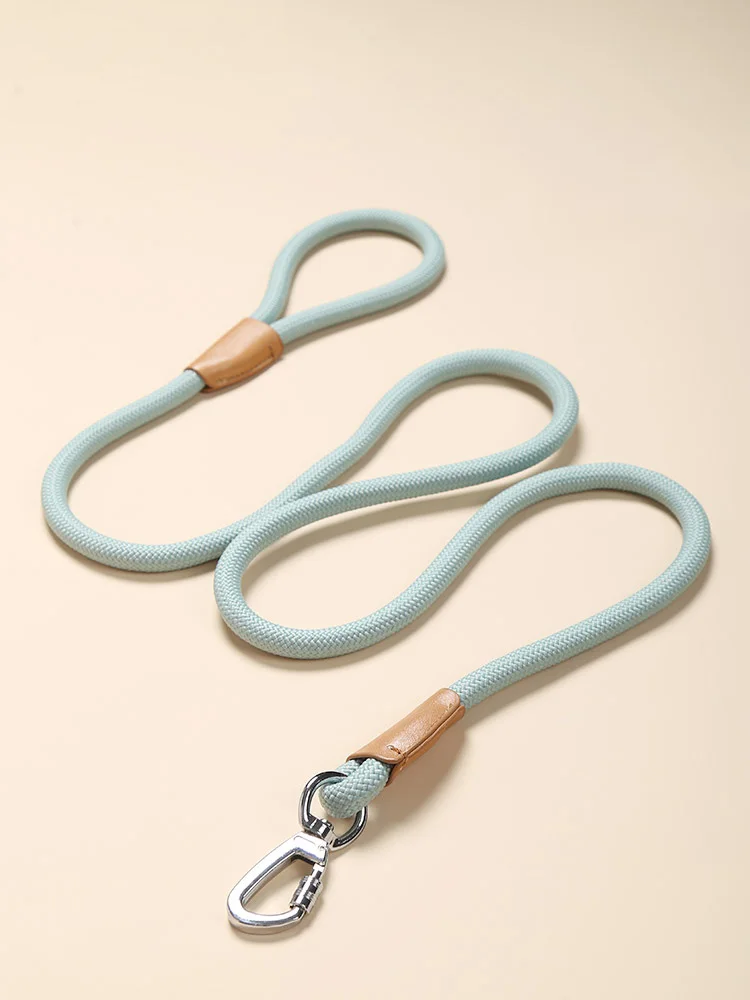 Training Dog Leash Rope Dog Walking French Bulldog Accessories Dog Stuff Dog Leash Dog Seat Belt Poodle Arnes Perro Pet Supplies
Training Dog Leash Rope Dog Walking French Bulldog Accessories Dog Stuff Dog Leash Dog Seat Belt Poodle Arnes Perro Pet Supplies