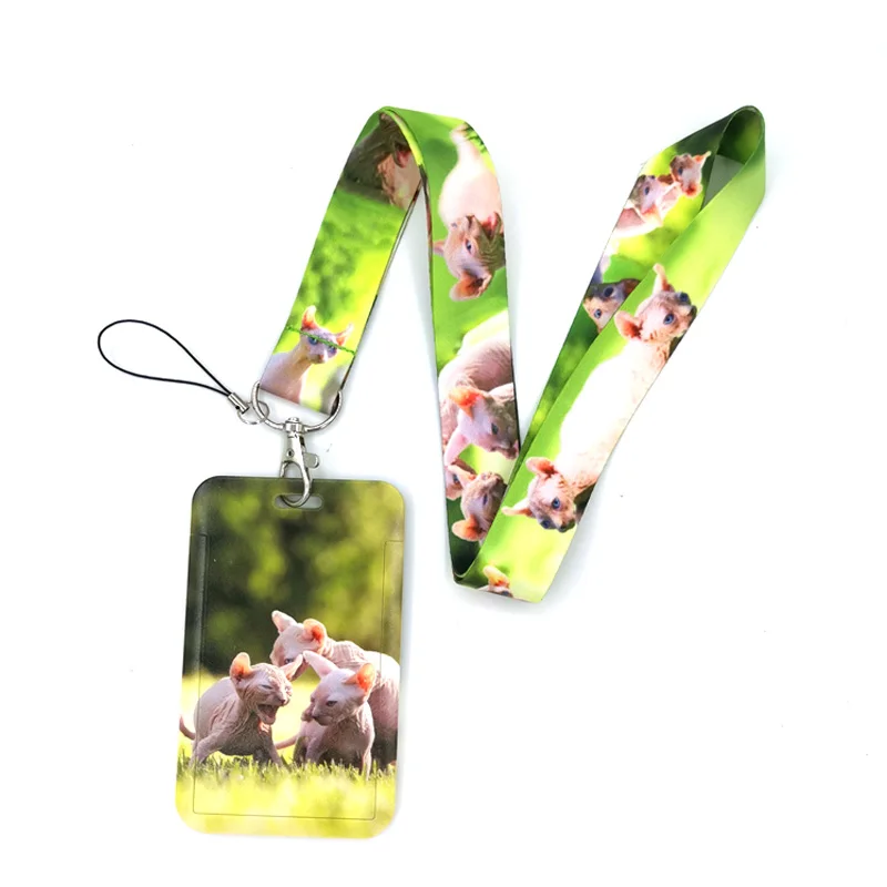 Animal Hairless Sphynx Cats Key lanyard Car KeyChain ID Card Pass Gym Mobile Phone Badge Kid Key Ring Holder Jewelry Decorations
Animal Hairless Sphynx Cats Key lanyard Car KeyChain ID Card Pass Gym Mobile Phone Badge Kid Key Ring Holder Jewelry Decorations