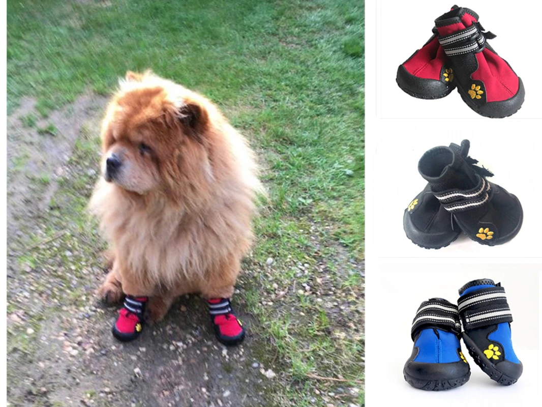 Sport Dog Shoes Pet Outdoor Non Slip Rain Boots dog toy Running Sneakers Waterpoof Boots Pet Accessories Pet supplies
Sport Dog Shoes Pet Outdoor Non Slip Rain Boots dog toy Running Sneakers Waterpoof Boots Pet Accessories Pet supplies