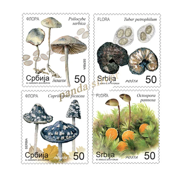 Набор из 4 шт., 2019, Сербия, почтовые расходы коллекция марок, гриб штампы, оригинал, высокое качество, хорошее состояние, коллекция, MNH
Набор из 4 шт., 2019, Сербия, почтовые расходы коллекция марок, гриб штампы, оригинал, высокое качество, хорошее состояние, коллекция, MNH