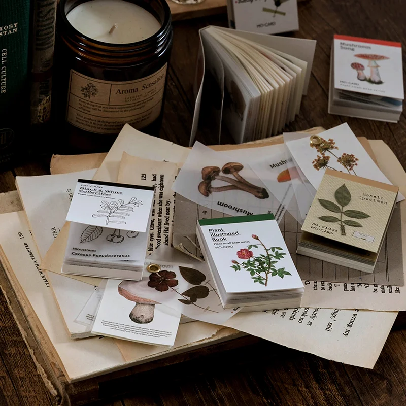 Aesth 50pcs/pack Plant Vintage Adhesive Cards Creative Stickers Mini Book for Decoration Stationery DIY Scrapbook Sticky Notes
Aesth 50pcs/pack Plant Vintage Adhesive Cards Creative Stickers Mini Book for Decoration Stationery DIY Scrapbook Sticky Notes