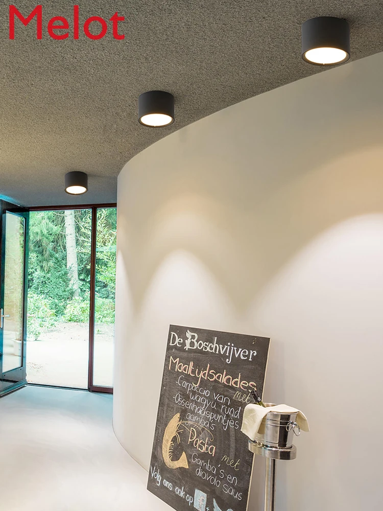 Nordic Aisle Light Led Small Ceiling Light Open-Mounted Downlight Simple Modern Corridor Light Entrance Foyer Balcony Lamps
Nordic Aisle Light Led Small Ceiling Light Open-Mounted Downlight Simple Modern Corridor Light Entrance Foyer Balcony Lamps