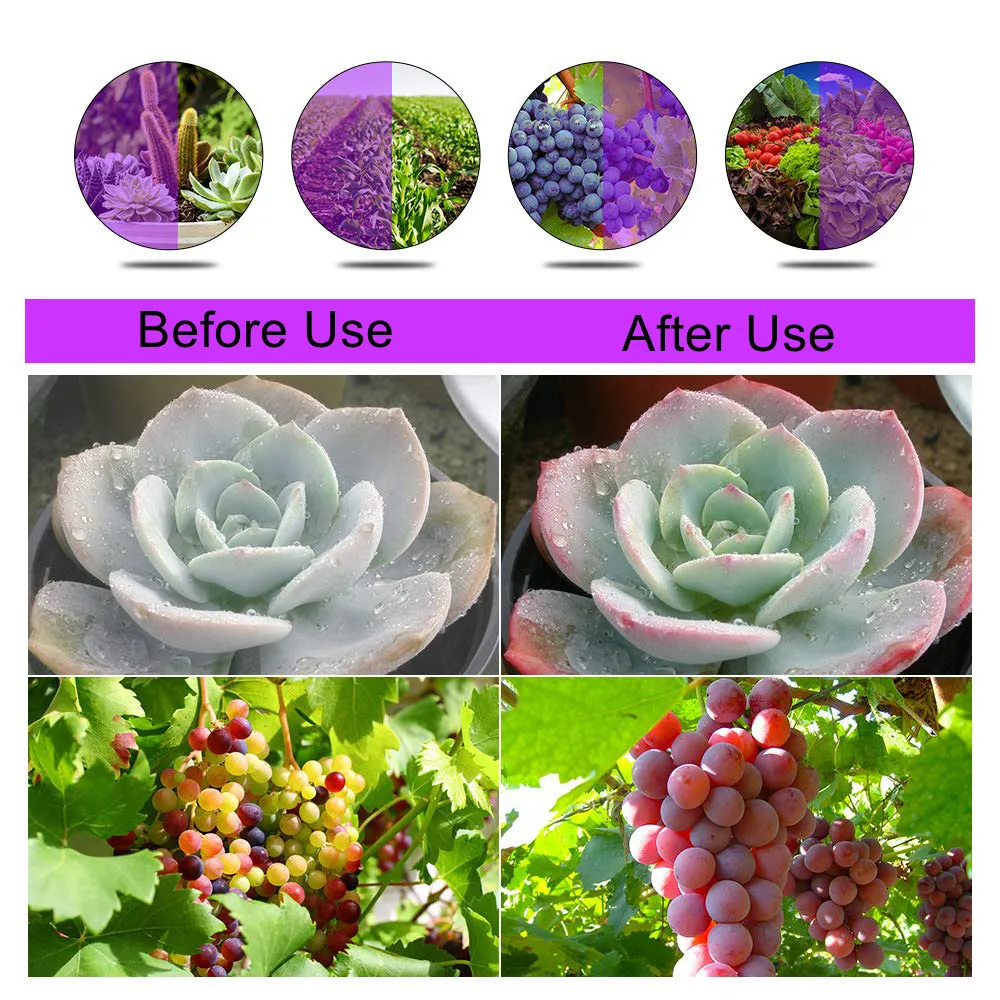 5V LED Grow Light USB Phyto Lamp Full Spectrum With Control For Plants Seedlings Flower Indoor Fitolamp Grow Box
5V LED Grow Light USB Phyto Lamp Full Spectrum With Control For Plants Seedlings Flower Indoor Fitolamp Grow Box