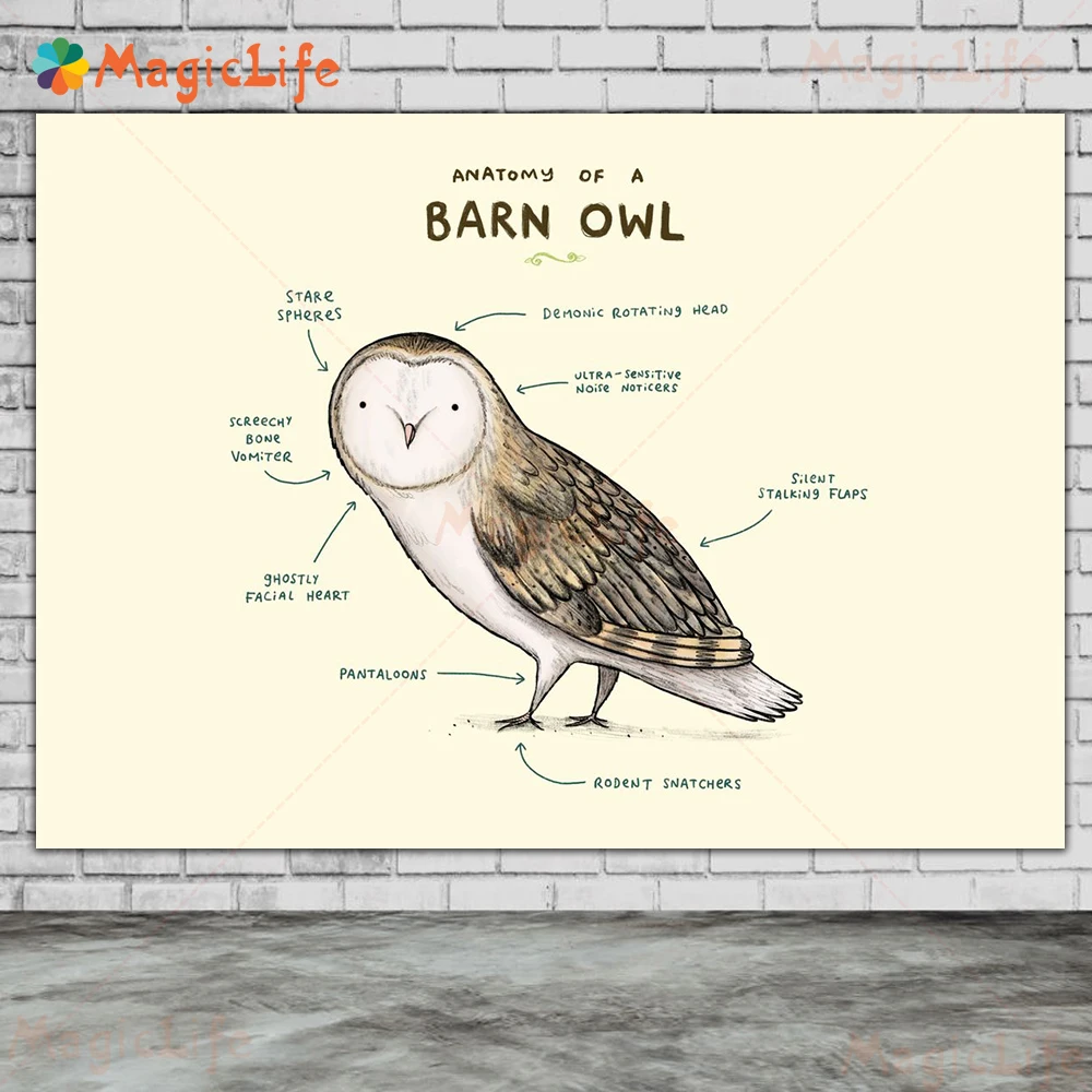 Anatomy Of A Barn Owl,Flamingo,Elephant,Horse,Fox Wall Art Canvas Painting Animal Poster And Print Gift Decoration Unframed
Anatomy Of A Barn Owl,Flamingo,Elephant,Horse,Fox Wall Art Canvas Painting Animal Poster And Print Gift Decoration Unframed
