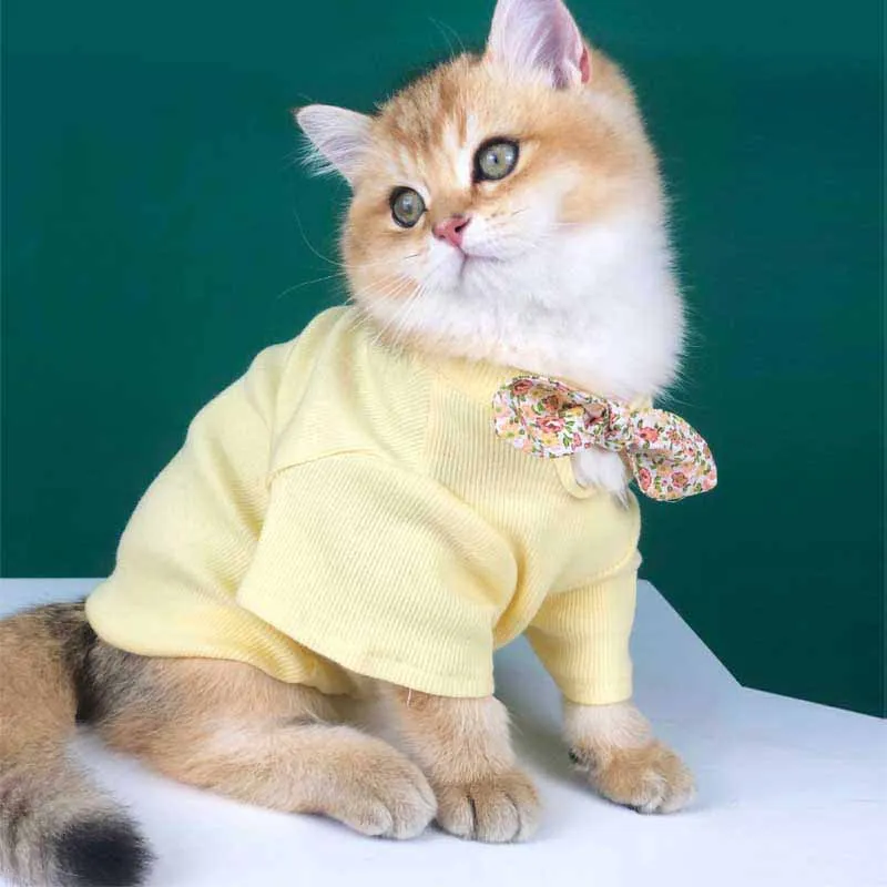 Pet clothes four seasons breathable anti-hair loss net red style fashion brand cute British short blue cat and dog clothes
Pet clothes four seasons breathable anti-hair loss net red style fashion brand cute British short blue cat and dog clothes