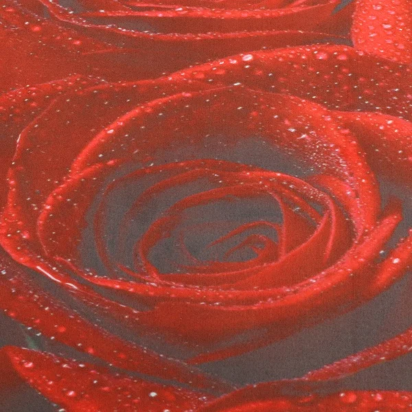 New Roses Bathroom Shower Curtain And Mat Set Red Valentine's Day Waterproof Polyester Fabric & Hooks Bathroom Wedding Decor
New Roses Bathroom Shower Curtain And Mat Set Red Valentine's Day Waterproof Polyester Fabric & Hooks Bathroom Wedding Decor