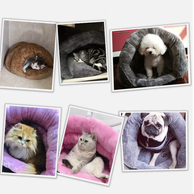 Three-legged Pet Dogs Cat Bed Cushion Blanket Kennel Winter Warm Padded Soft Sleeping Bag Accessories Pet Bed For Dog Puppy Cats
Three-legged Pet Dogs Cat Bed Cushion Blanket Kennel Winter Warm Padded Soft Sleeping Bag Accessories Pet Bed For Dog Puppy Cats