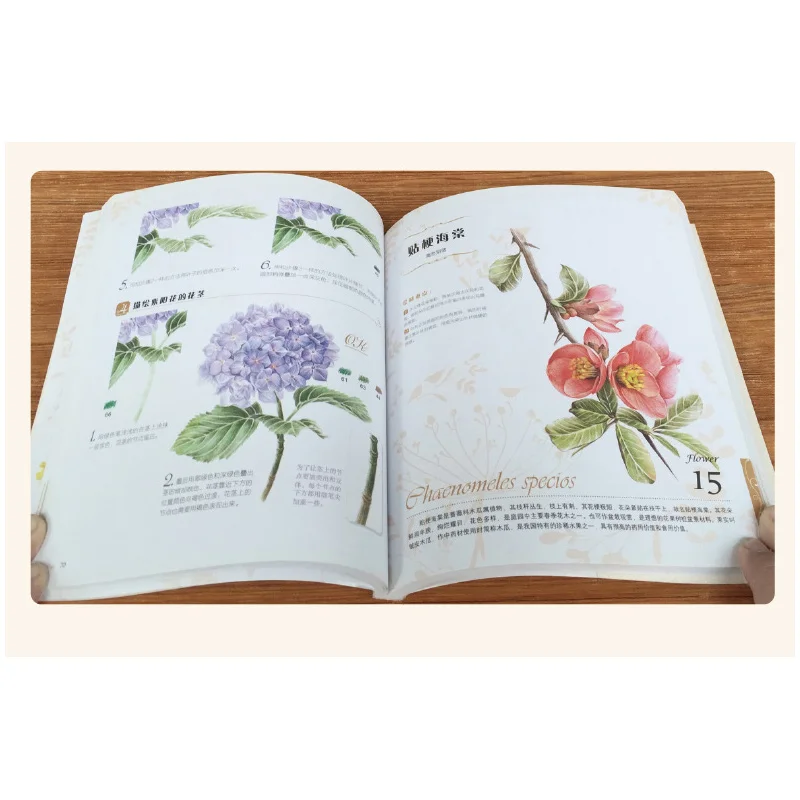 New Chinese pencil drawing book Flower Painting watercolor color pencil textbook with hundreds kinds of flowers
New Chinese pencil drawing book Flower Painting watercolor color pencil textbook with hundreds kinds of flowers