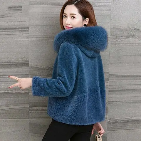 Fur coat female sheep shearing autumn and winter new particle velvet korean coat short fox fur collar hooded coat
Fur coat female sheep shearing autumn and winter new particle velvet korean coat short fox fur collar hooded coat