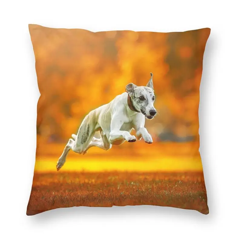 Cute Greyhound Print Pillow Case Decoration Cute Whippet Sighthound Dog Cushion Decoration Salon Square Pillowcase
Cute Greyhound Print Pillow Case Decoration Cute Whippet Sighthound Dog Cushion Decoration Salon Square Pillowcase