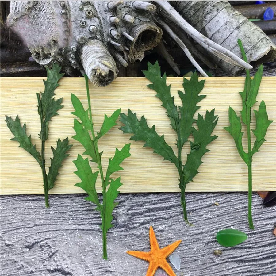 100pcs Green Pressed Dried Daisy Stalks Leaf Leaves Plant Herbarium For Jewelry Postcard Invitation Card Phone Case Making DIY
100pcs Green Pressed Dried Daisy Stalks Leaf Leaves Plant Herbarium For Jewelry Postcard Invitation Card Phone Case Making DIY