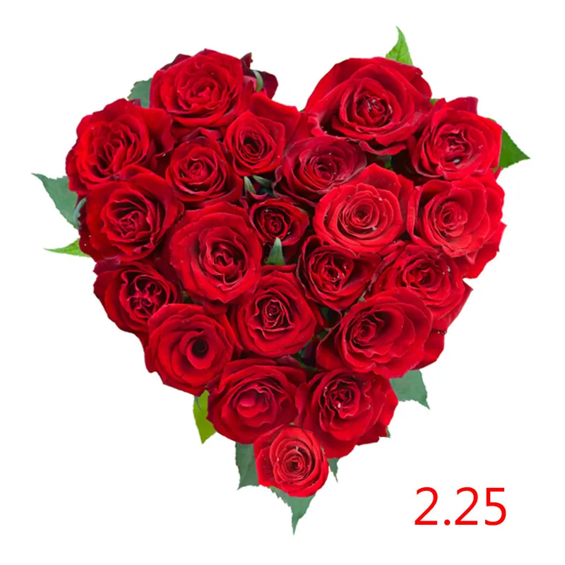 Стоимость доставки/дополнительная плата/возврат --- 2,25
Стоимость доставки/дополнительная плата/возврат --- 2,25