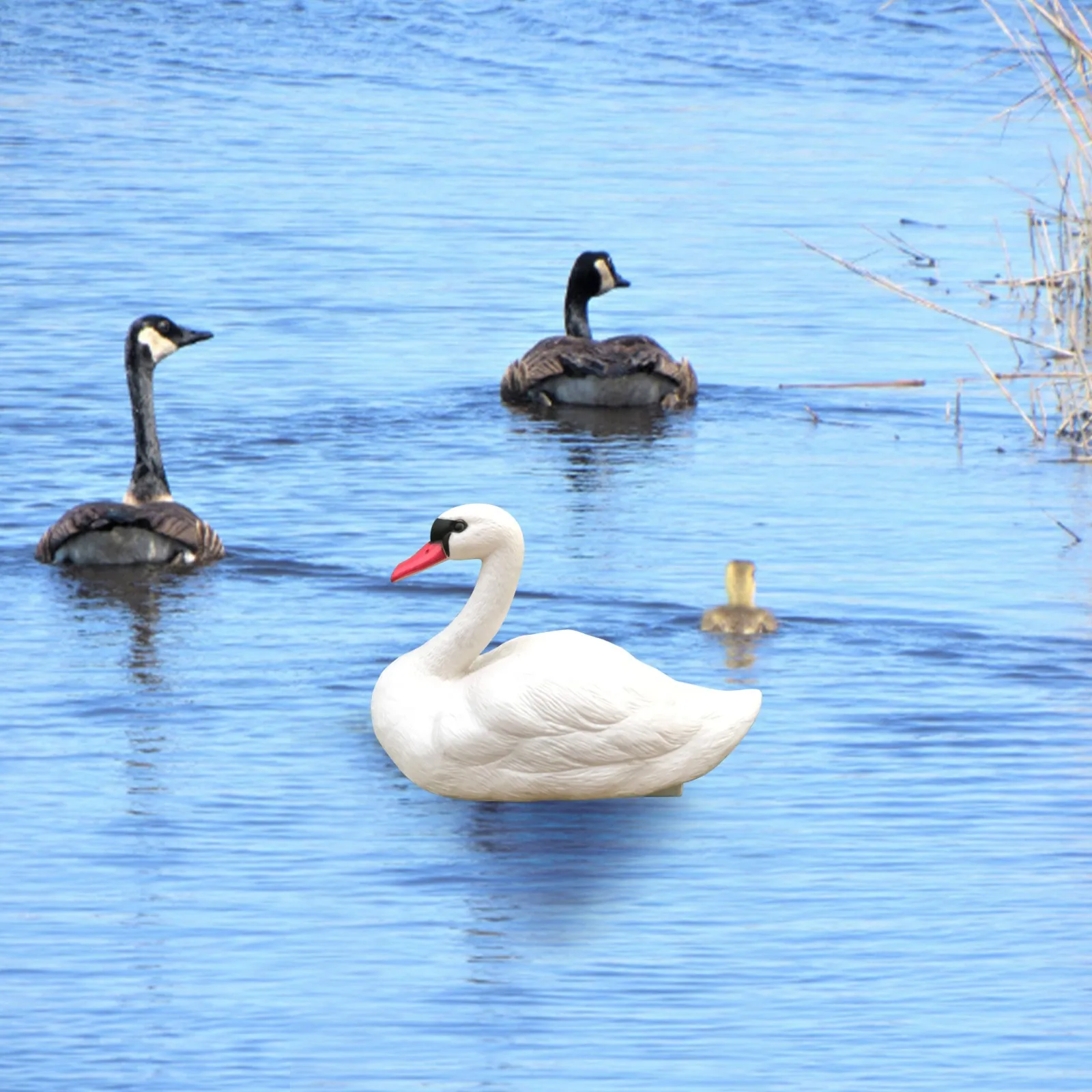 1pc Goose Swan Hunting White Bait Garden Plastic Pond Goose Decor White Swan Pet Outdoor Simulation Pond Decor Landscape Crafts
1pc Goose Swan Hunting White Bait Garden Plastic Pond Goose Decor White Swan Pet Outdoor Simulation Pond Decor Landscape Crafts