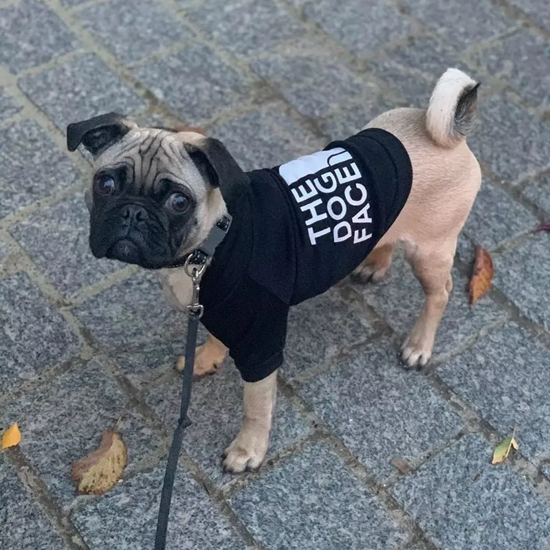 Pet Dog Clothes Warm Soft The Dog Face Dog Jacket Hoodie Coat For Small Puppy Dogs Plus Pullover French Bulldog Outdoor Costumes
Pet Dog Clothes Warm Soft The Dog Face Dog Jacket Hoodie Coat For Small Puppy Dogs Plus Pullover French Bulldog Outdoor Costumes