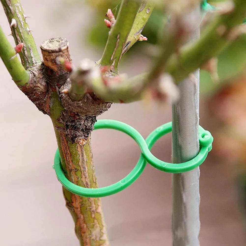 30 Pcs Plant Clips Support Ties Help Vine Stems Vegetables Tomato Flowers Grow Supports Greenhouse Garden Supplies
30 Pcs Plant Clips Support Ties Help Vine Stems Vegetables Tomato Flowers Grow Supports Greenhouse Garden Supplies