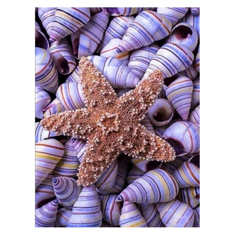 Full Square/Round Diamond Painting Kits Conch Shell Diamond Embroidery Mosaic Landscape Decoration For Home
Full Square/Round Diamond Painting Kits Conch Shell Diamond Embroidery Mosaic Landscape Decoration For Home