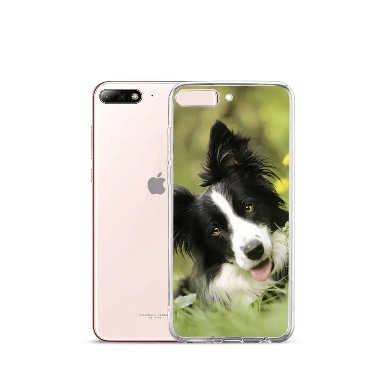 Lovely Border collie dog flower Phone Case Transparent for iPhone Samsung A S 11 12 6 7 8 9 30 Pro X XS Max XR Plus lite 
Lovely Border collie dog flower Phone Case Transparent for iPhone Samsung A S 11 12 6 7 8 9 30 Pro X XS Max XR Plus lite