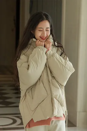 Thickened cotton jacket short winter warmth with hood versatile casual and comfortable zipper personality
Thickened cotton jacket short winter warmth with hood versatile casual and comfortable zipper personality