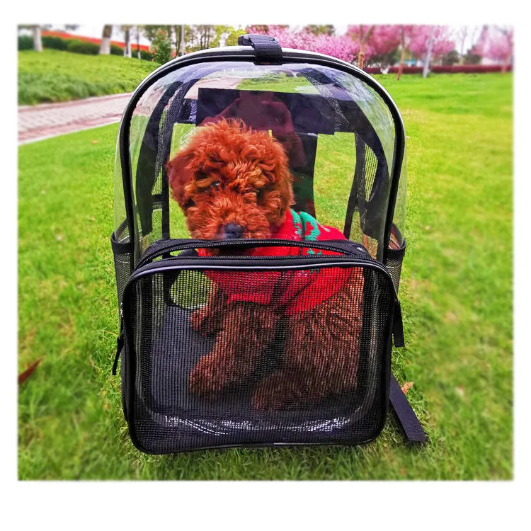 Portable Pet Carrier Bag Breathable Cat Bag Outdoor Travel Backpack for Cat and Dog Transparent Space Pet Backpack Bag for Cat
Portable Pet Carrier Bag Breathable Cat Bag Outdoor Travel Backpack for Cat and Dog Transparent Space Pet Backpack Bag for Cat