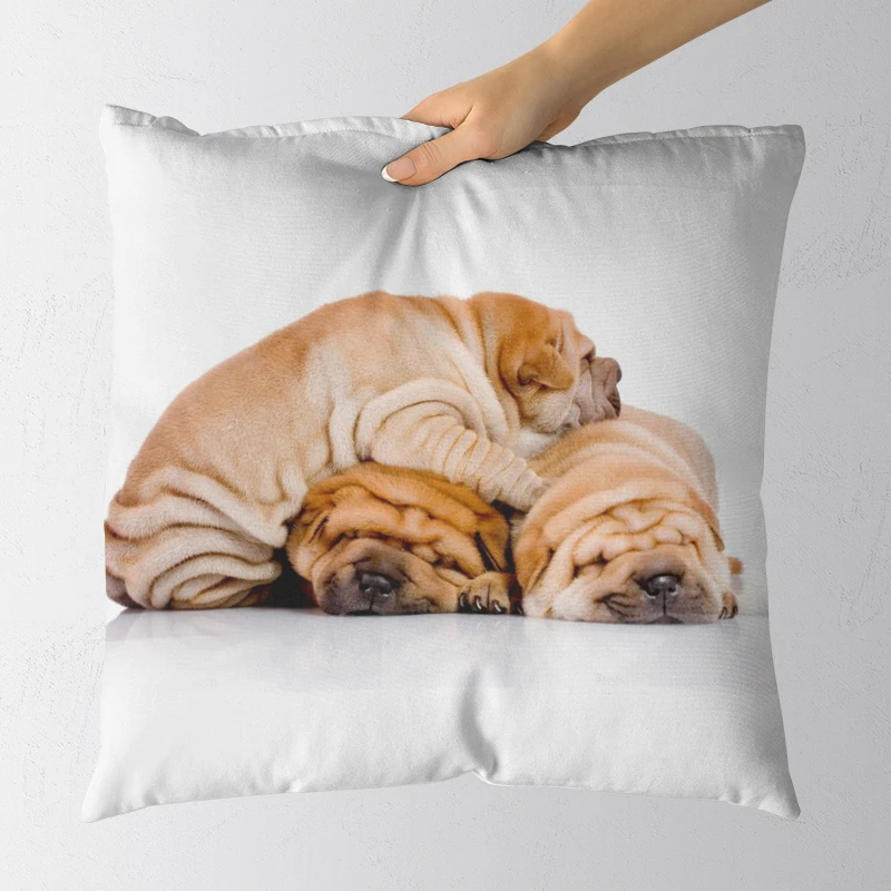 Various sizes pillowcase Hot New Fashion Sofa Bed Home Animal pattern Decorative Pillowcases
Various sizes pillowcase Hot New Fashion Sofa Bed Home Animal pattern Decorative Pillowcases