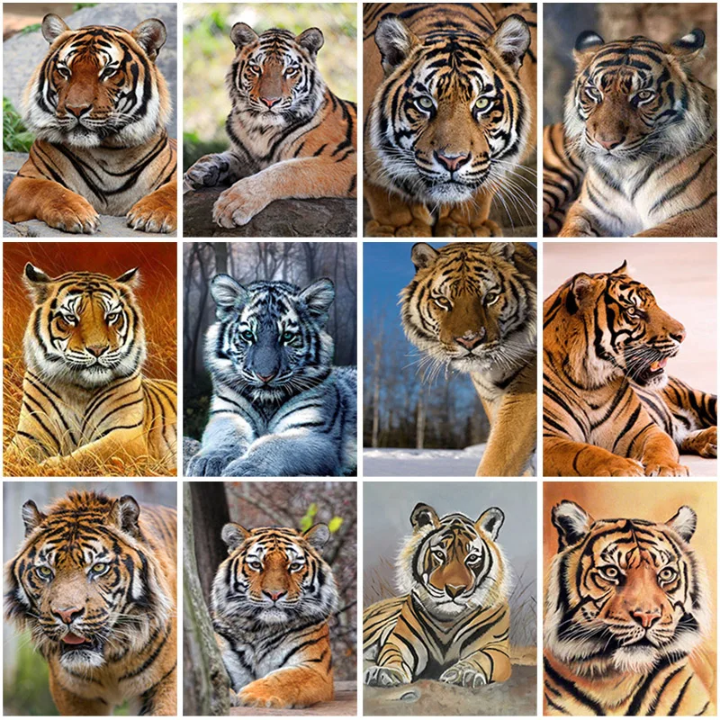 DIY 5D Diamond Painting Full Square Tiger Picture Rhinestone DIY Diamond Embroidery Cross Stitch Wall Art Gift Home Decor
DIY 5D Diamond Painting Full Square Tiger Picture Rhinestone DIY Diamond Embroidery Cross Stitch Wall Art Gift Home Decor
