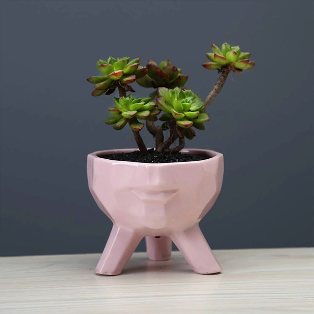 Succulent Plant Pot Flower Pot Cactus Bonsai Container Ceramic Human Face Shape With Drainage Hole For Home Garden Decoration
Succulent Plant Pot Flower Pot Cactus Bonsai Container Ceramic Human Face Shape With Drainage Hole For Home Garden Decoration
