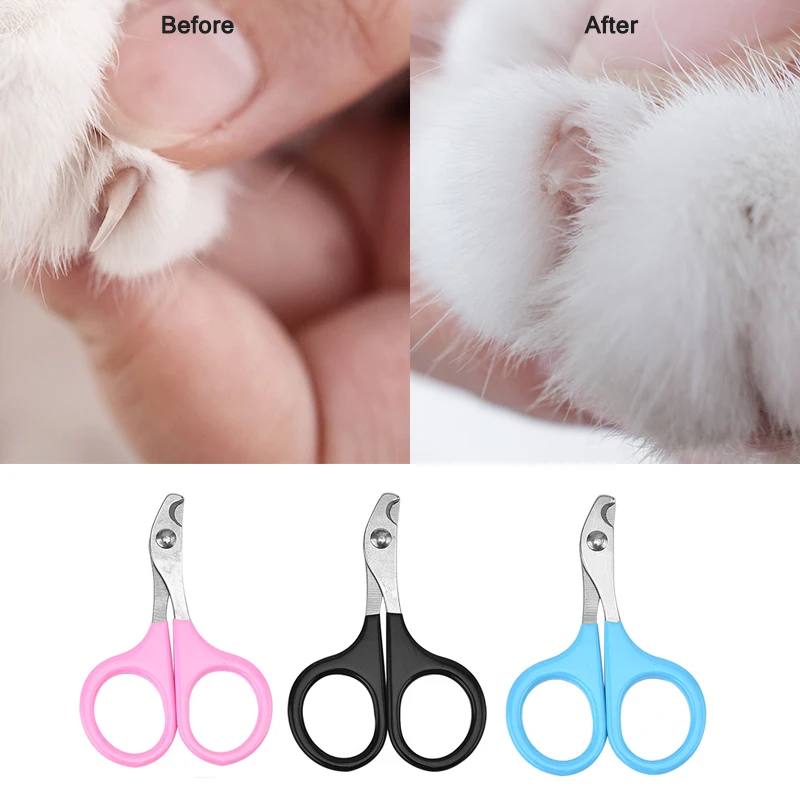 1pcs Professional Stainless Steel Pet Dog Cat Nail Clippers Toe Claw Scissors Trimmer Pet Grooming Products for Small Dogs Cats
1pcs Professional Stainless Steel Pet Dog Cat Nail Clippers Toe Claw Scissors Trimmer Pet Grooming Products for Small Dogs Cats